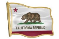 enamel pin depicting the California state flag